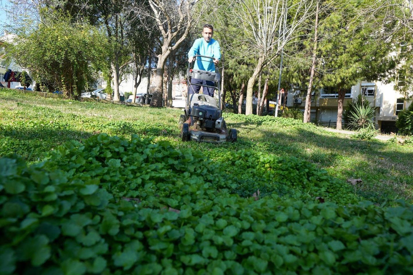 İzmir Gaziemir'deki Yeşil Alanlar İyileştiriliyor