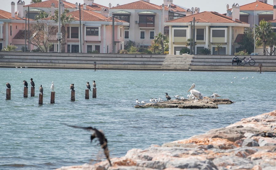 Mavişehir'de yapımı sürdürülen Flamingo Doğa Parkı’nda yüzde 80’lere gelindi