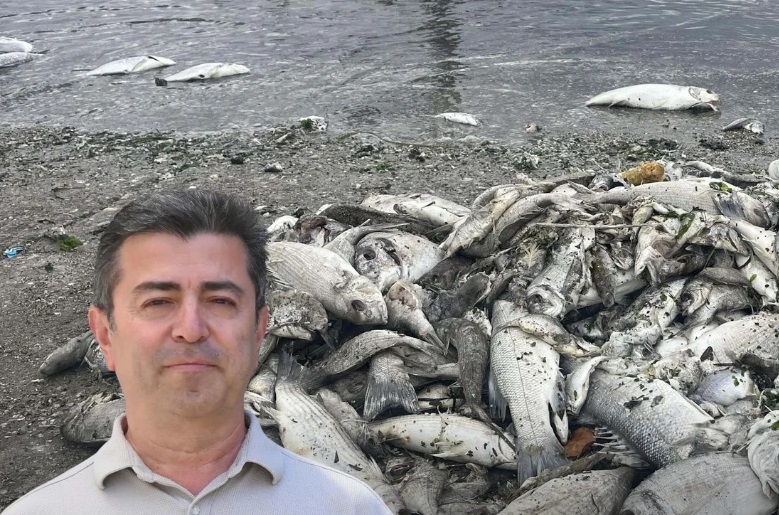 İzmir Körfezi'nde yeniden balık ölümleri olacak