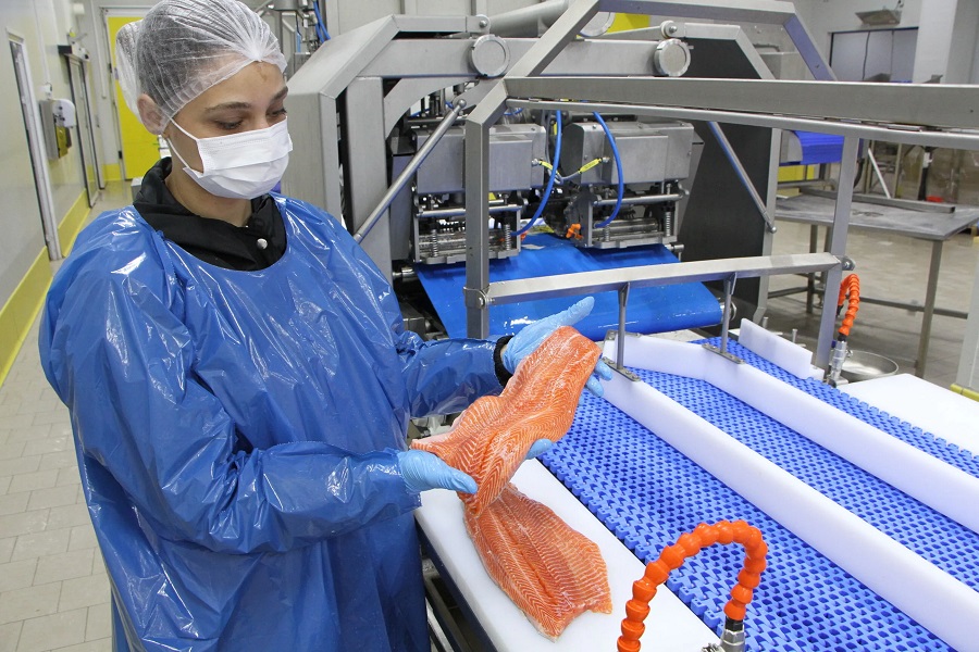 Türk somonu düşük yağ oranı ve yüksek Omega 3 içeriğiyle Norveç somonuna rakip oldu
