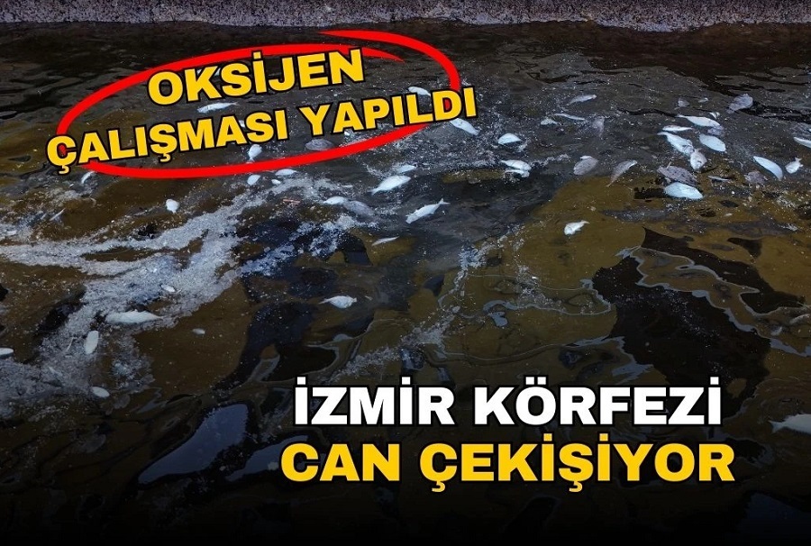 İzmir Körfezi can çekişiyor