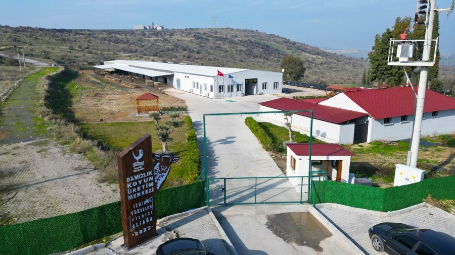 Aliağa Damızlık Koyun Üretim Merkezi Kırsal Kalkınmaya Güç Katıyor