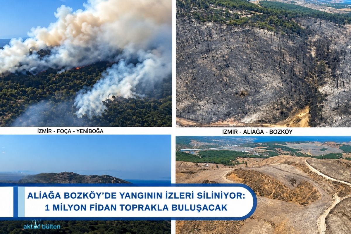ALİAĞA BOZKÖY’DE YANGININ İZLERİ SİLİNİYOR: 1 MİLYON FİDAN TOPRAKLA BULUŞACAK
